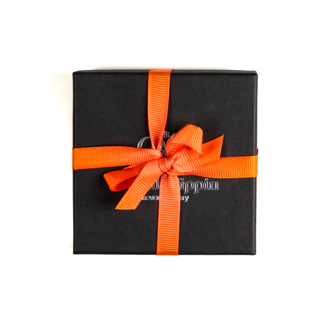 Red Fox Folding Mirror and Lens Cloth